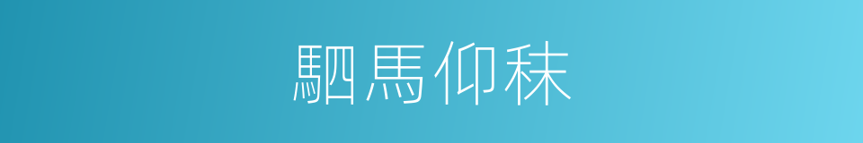 駟馬仰秣的同義詞
