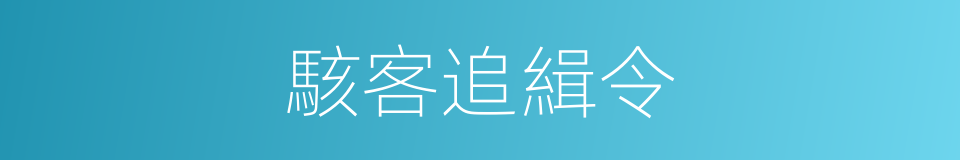 駭客追緝令的同義詞