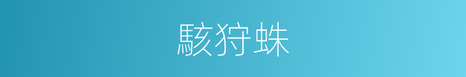 駭狩蛛的同義詞