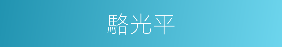 駱光平的同義詞