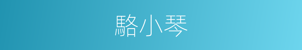 駱小琴的同義詞