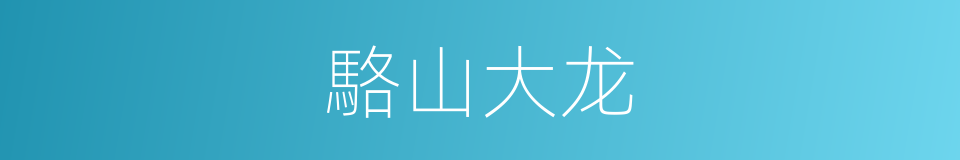 駱山大龙的同義詞