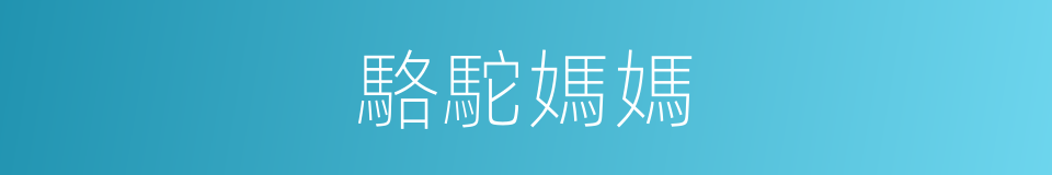 駱駝媽媽的同義詞