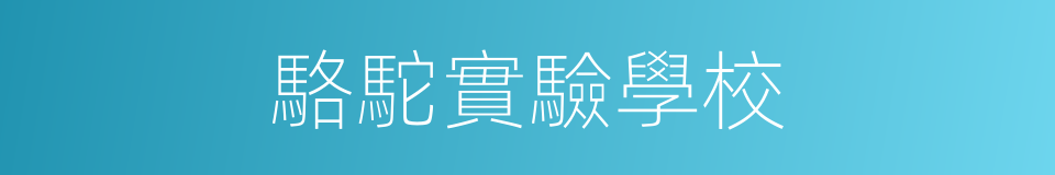 駱駝實驗學校的同義詞