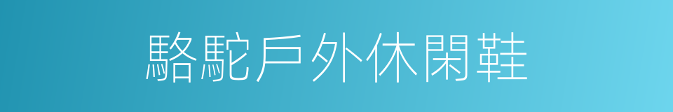 駱駝戶外休閑鞋的同義詞