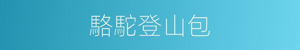 駱駝登山包的同義詞