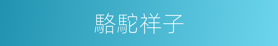 駱駝祥子的意思