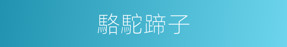 駱駝蹄子的同義詞