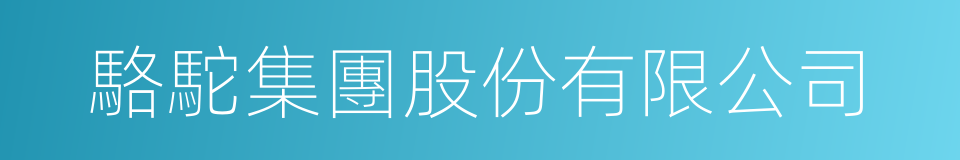 駱駝集團股份有限公司的同義詞