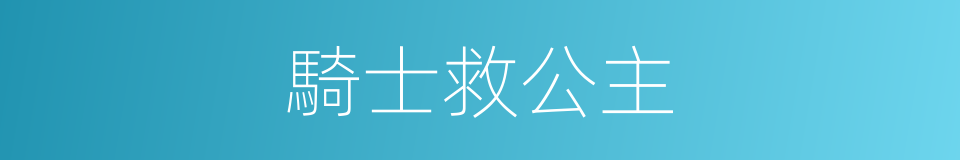 騎士救公主的同義詞