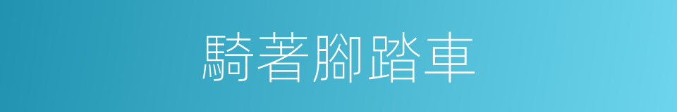 騎著腳踏車的同義詞