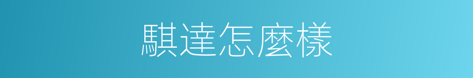 騏達怎麼樣的同義詞