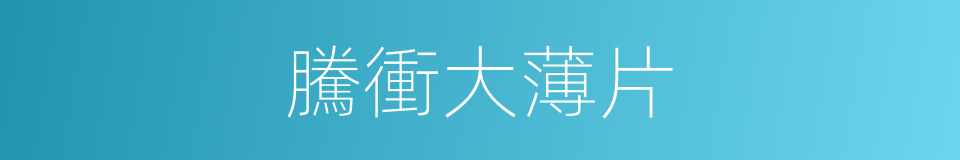 騰衝大薄片的同義詞
