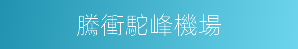 騰衝駝峰機場的同義詞