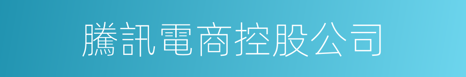 騰訊電商控股公司的同義詞