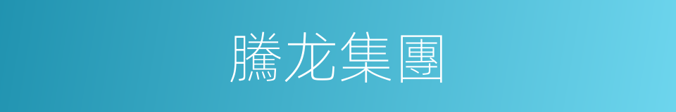 騰龙集團的同義詞