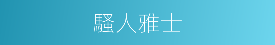 騷人雅士的意思