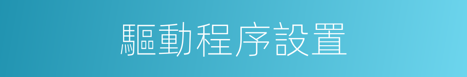 驅動程序設置的同義詞