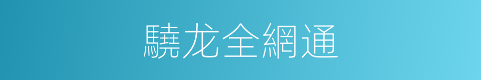 驍龙全網通的同義詞