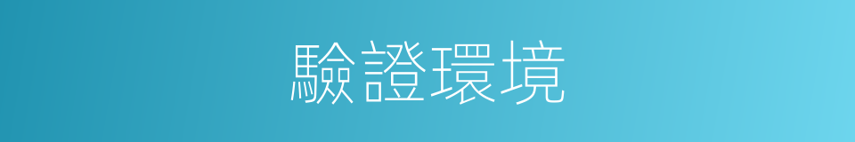 驗證環境的同義詞