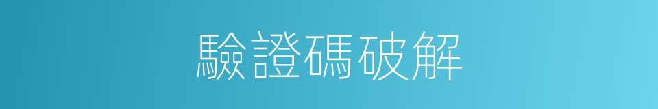 驗證碼破解的同義詞