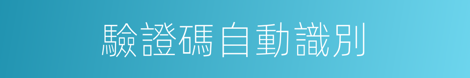 驗證碼自動識別的同義詞