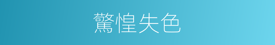 驚惶失色的意思