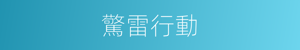 驚雷行動的同義詞