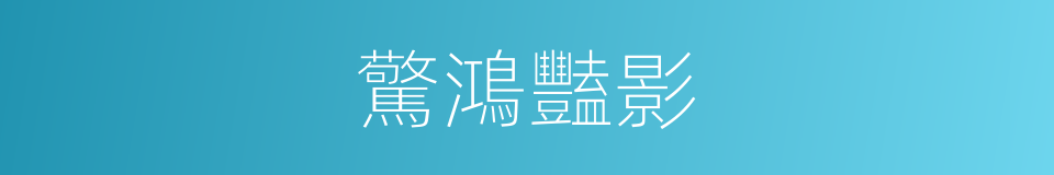 驚鴻豔影的意思
