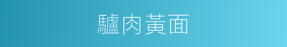 驢肉黃面的同義詞