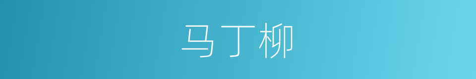 马丁柳的同义词