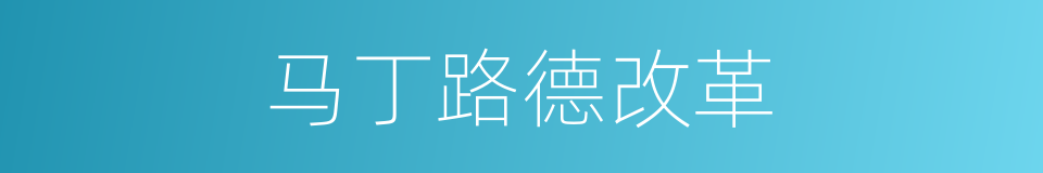 马丁路德改革的同义词