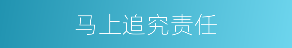马上追究责任的同义词