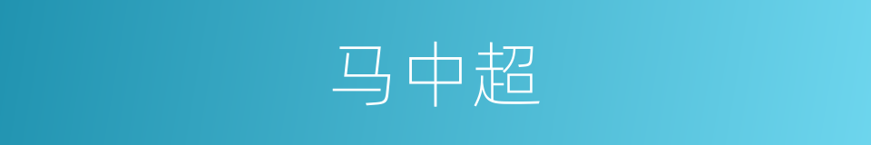 马中超的同义词