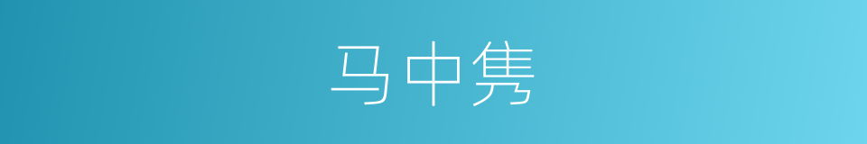 马中隽的同义词