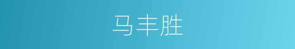 马丰胜的同义词