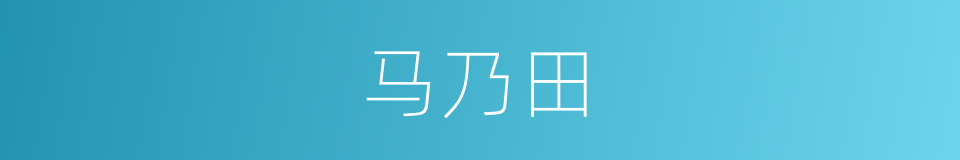 马乃田的同义词