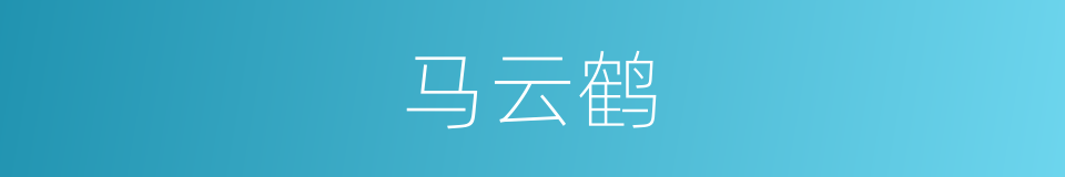 马云鹤的同义词