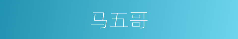 马五哥的同义词