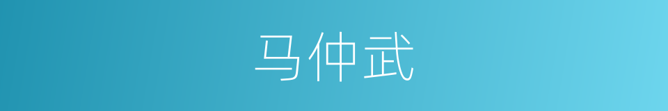 马仲武的同义词