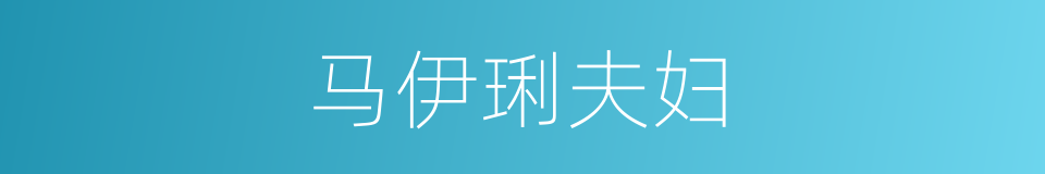 马伊琍夫妇的同义词