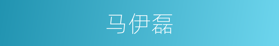 马伊磊的同义词