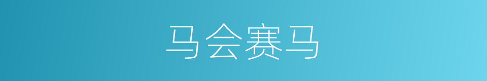 马会赛马的同义词