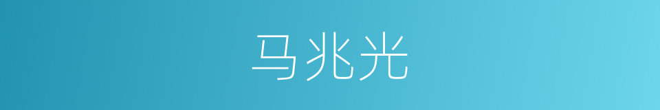 马兆光的同义词