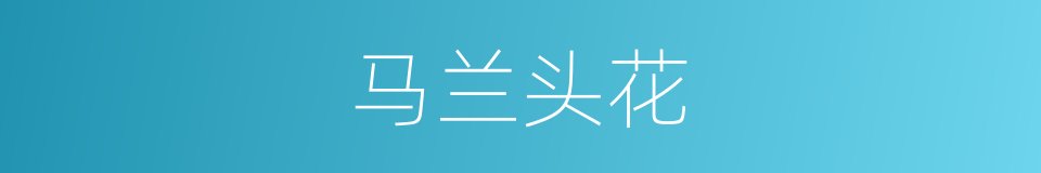 马兰头花的同义词