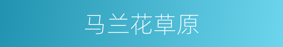 马兰花草原的同义词