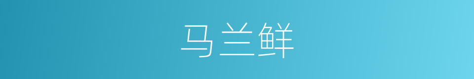 马兰鲜的同义词