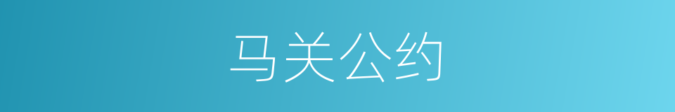 马关公约的同义词