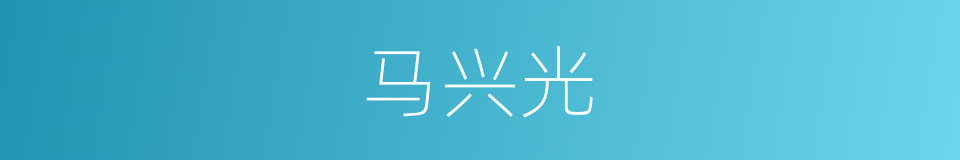 马兴光的同义词