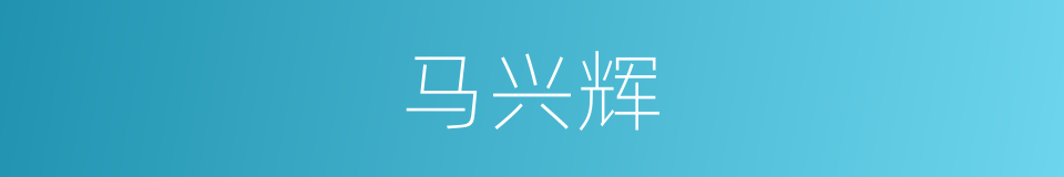 马兴辉的同义词